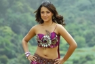 Trisha rejected shahrukh item song offer