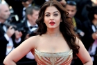 Hollywood actresses hot skin show in cannes film festival 2014