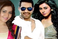 Rakul preet or rashi khanna for jr ntr s next