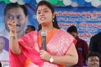 High court issues notice to ap deputy cm pushpa srivani on caste allegations