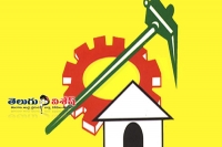 Shock to tdp in graduate mlc results