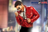 Allu arjun sarainodu movie first look release date