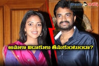 Amala paul and vijay marriage life in trouble