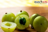 Amla fruit health benefits home remedies heart kidney diseases