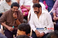 Balayya puri movie first schedule completed