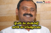 Bhumana sensational comments on chandra babu