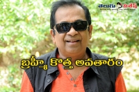 Brahmi busy with his son s next movie