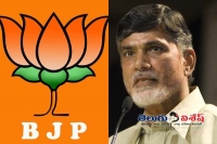 Tdp bjp alliance ready to break