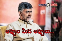Ap government taking debt again from central