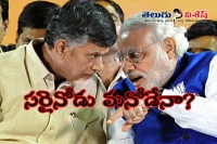 Modi wants chandrababu to solve demonetization crisis