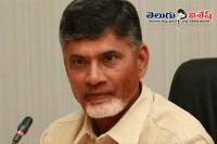 Chandrababu meet governor narasimhan