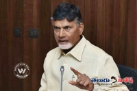 Chandrababu on alliance with bjp