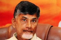 Ap govt decided to supply two five star fans to people