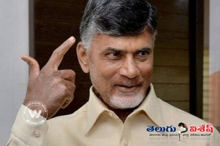మొత్తానికి చంద్రబాబు హ్యాపీ!