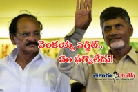 Telugu cm hails venkaiah s vp candidature