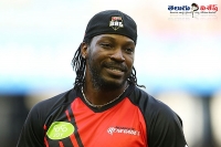 Chris gayle hit fifty in 12 balls