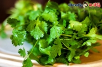 Cilantro health benefits healthy foods home remedies