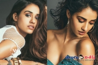 Disha patani new photo shoot