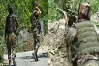 3 terrorists killed in encounter with security forces in jammu and kashmirs anantnag