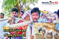 In medak dist villagers did funeral to a dog