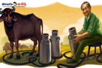 Google doodle honours dr verghese kurien