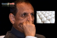 Governor narasimhan fired on officials for eggs