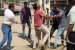 Gujarat police chief orders probe over cops thrashing garba attack suspects in kheda district