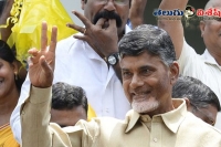 High court 8 weeks stay on cash for vote scam re investigation