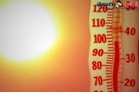 High temperatures killed near 700members