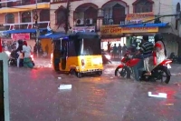 Weather forecast imd says low pressure over arabian sea intensified into depression