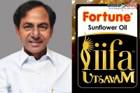 Telangana cm kcr postpone iifa utsavam 2015