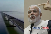 Longest bridge in india check to china