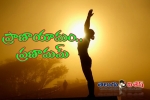 Yoga best medicine for health