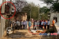 14 killed in transformer blast in rajasthan
