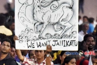 Jallikattu protest on chennai marina beach