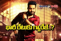 Janatha garage nizam rights sold out