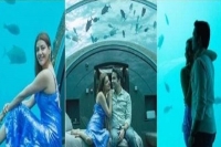 Kajal aggarwal gautam kitchlu honeymoon pictures are absolutely romantic