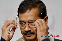 Aap may contest in karnataka election