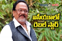 Actor krishnam raju hospitalized