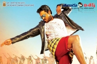 Sunil krishnashtami film release on 19 feb