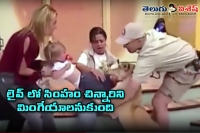 Horrified baby screaming as lion tries to eat her on live tv
