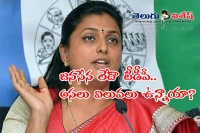 Roja on party change rumours