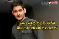 Mani ratnam mahesh movie shelved for this reason