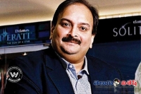 Mehul choksi demand ed for returning to india