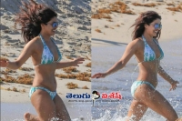 Priyanka chopra flaunts her toned bikini bod in miami