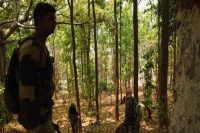 Three maoists killed in encounter at telangana chattishgarh border