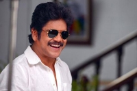 Producer did not care about nagarjuna