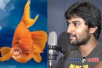 Nani humanitarian fish look from awe