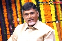 Narachandrababu statements likely to oppose the telangana