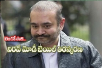 Nirav modi s plea fails to cut ice in uk court to continue in jail